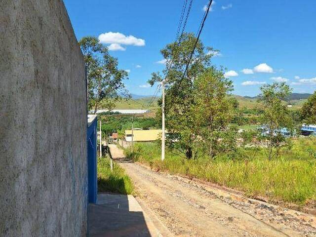 Terreno para Venda em Cruzeiro - 3