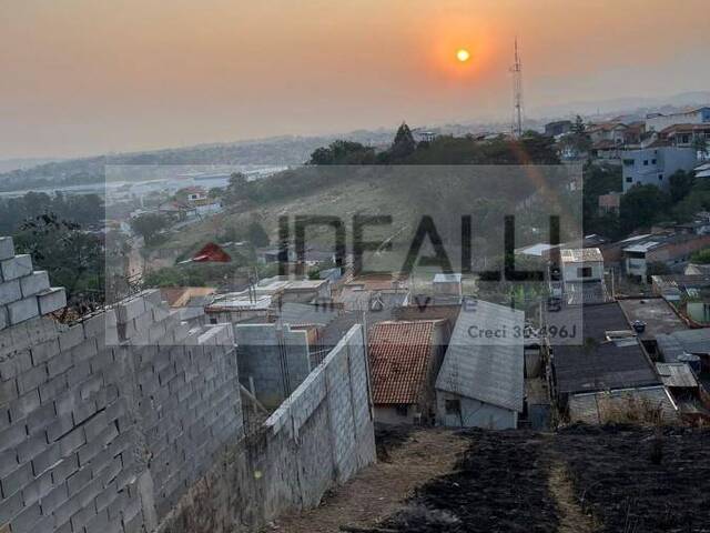 Terreno para Venda em Cruzeiro - 2