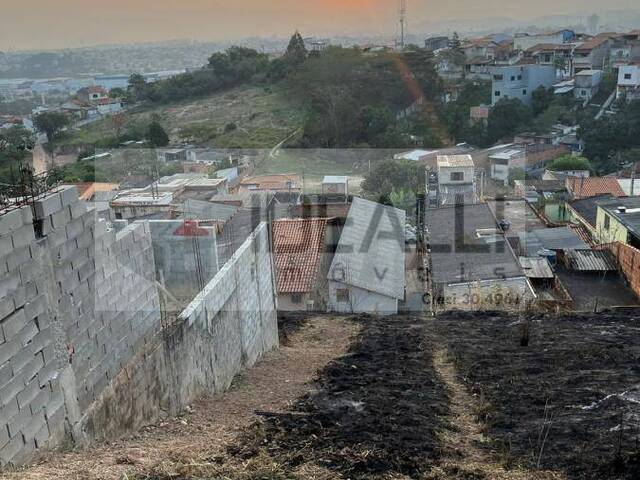 Terreno para Venda em Cruzeiro - 5