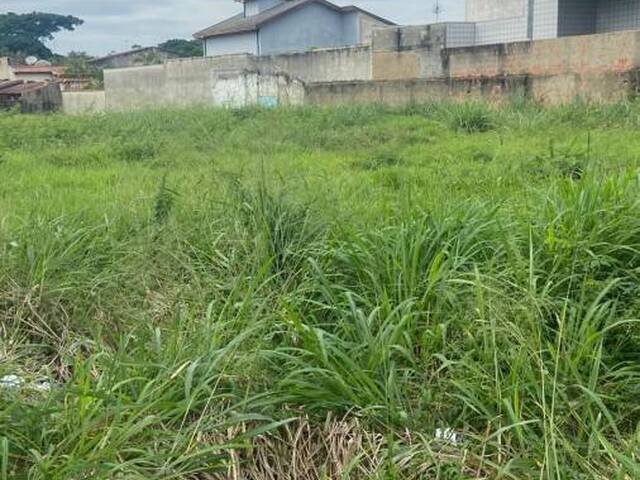 Terreno para Locação em Cruzeiro - 3