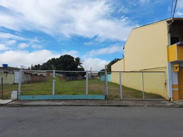 #TE0506 - Terreno para Venda em Cruzeiro - SP - 2