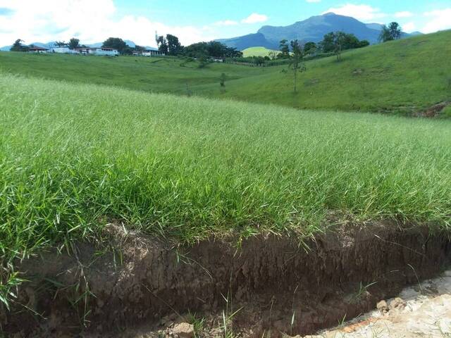 #TE0522 - Terreno para Venda em Cruzeiro - SP - 2