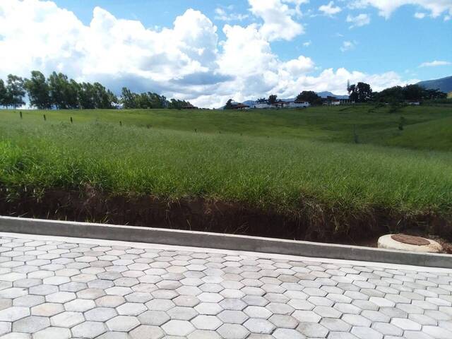 Terreno para Venda em Cruzeiro - 5