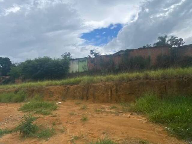 #TE0525 - Terreno para Venda em Lavrinhas - SP - 2