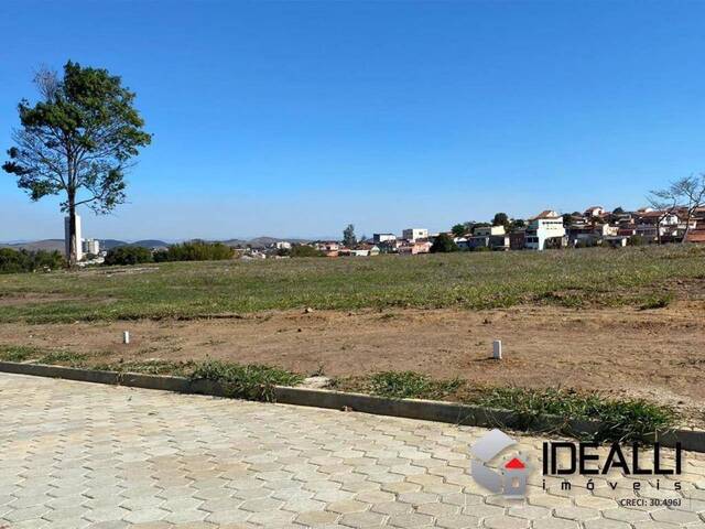 Terreno para Venda em Cruzeiro - 2