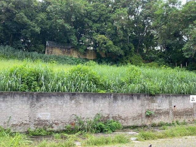 #TE0033 - Terreno para Venda em Cruzeiro - SP - 2