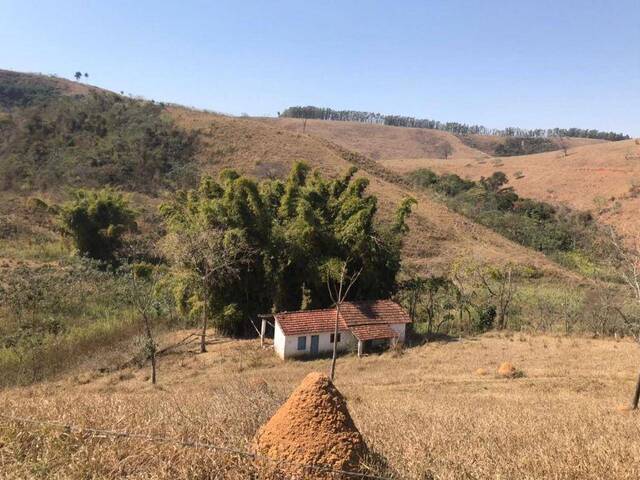Sítio para Venda em Cruzeiro - 2