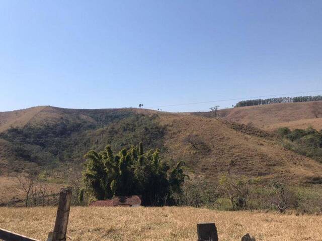 Sítio para Venda em Cruzeiro - 4