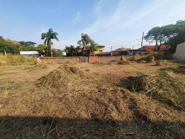 Terreno para Venda em Aparecida - 4