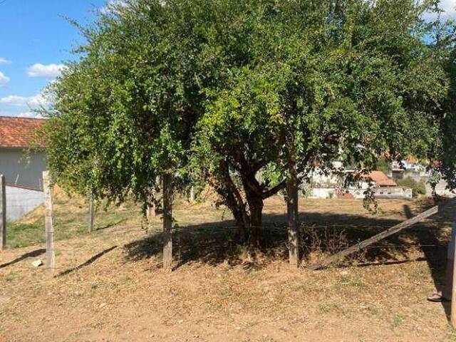 Terreno para Venda em Cruzeiro - 2